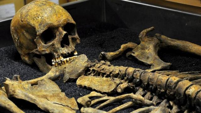 Скелет из Музея Лондона