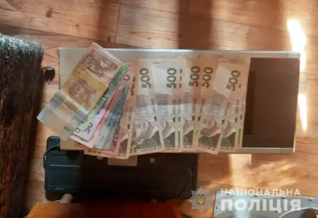 Живодерку засудили до 5,5 років тюрми. Що відомо про справу