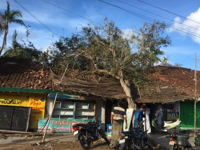 வாழ்வாதாரங்களை சூறையாடிய கஜ புயல்