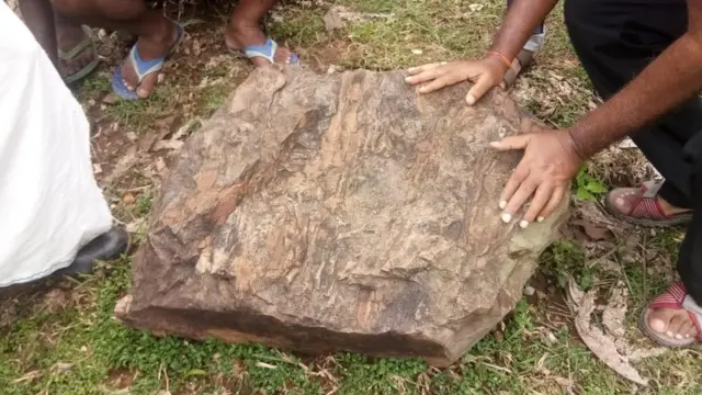 जीवाश्म