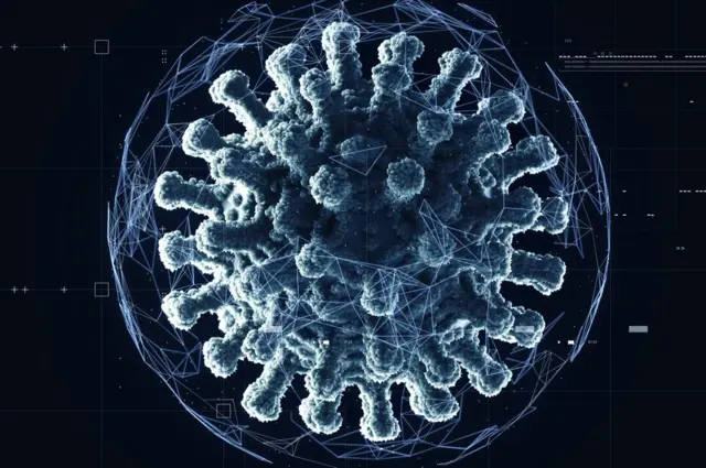 કોરોના વાઇરસ