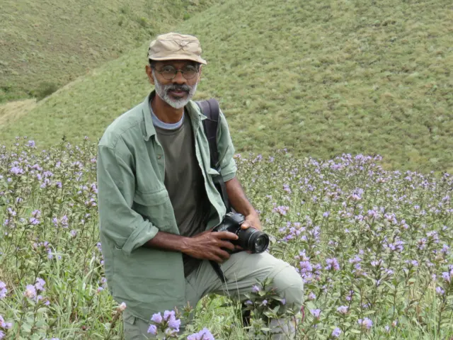 ශ්‍රී ලංකාවේ මුළු භූමියෙන් 62% අලි ජීවත්වේ. ඉන් 44%ක අලි සහ මිනිසුන් එකම ප්‍රදේශයක ජිවත් වේ.