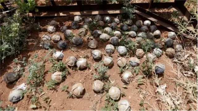 బాంబులు