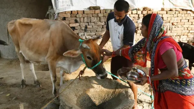 হিন্দুদের একটা বড় অংশ গরুকে মা বলে পুজো করে থাকেন