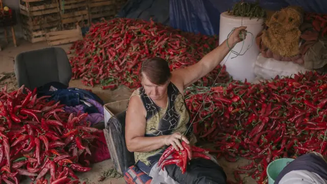 Na „Danima paprike" postoji i takmičenje u brzom nizanju