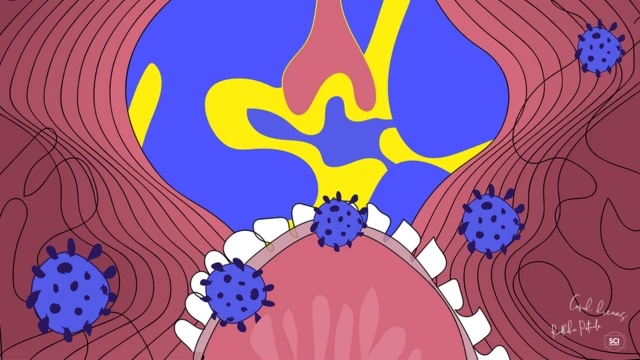 The inside of a mouth as from the perspective of the mask