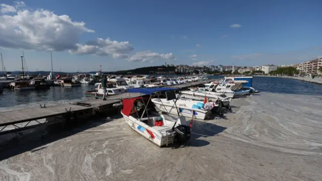 Müsilaj, Kasım ayından bu yana Marmara Denizi'nde görülüyor.