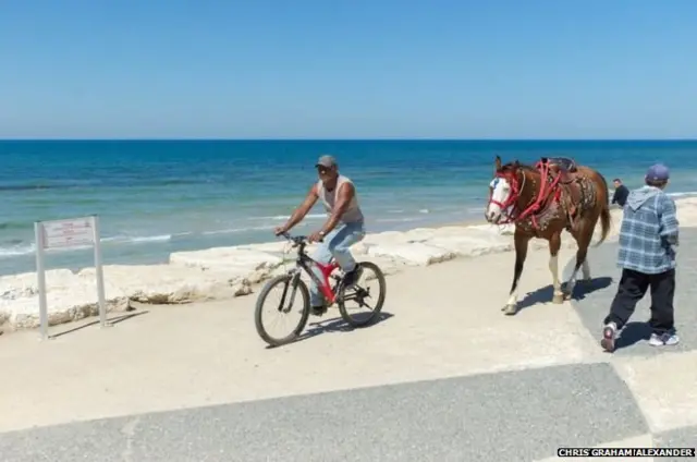 ग्राह्म एलेक्ज़ेंडर की ली हुई तस्वीर