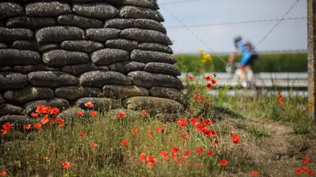 Flanders'teki gelincikler.