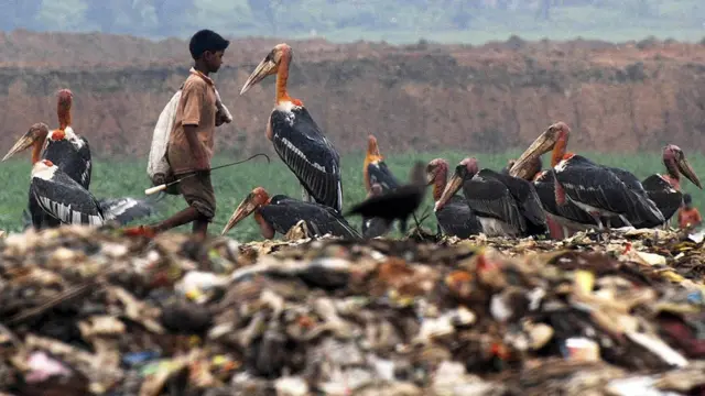 पर्यावरण