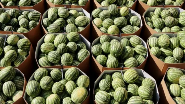 Арбузы на барже