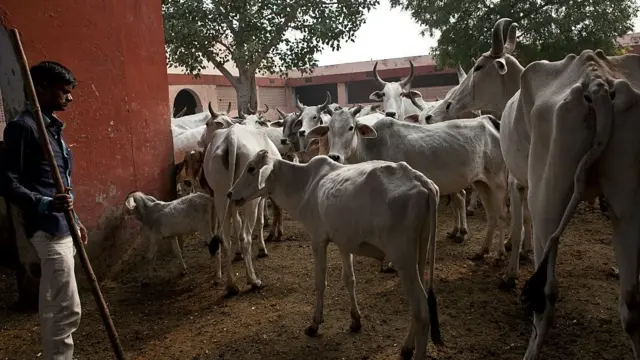 இந்தியாவில் அரசியலாகும் உணவு பழக்கம்