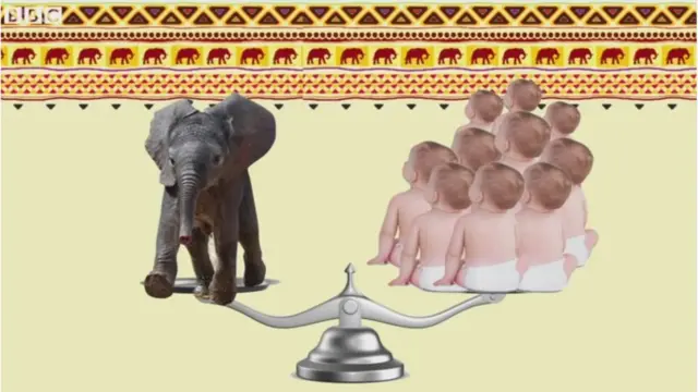 'விளையாடுங்கள், வேட்டையாடாதீர்கள்' - யானை குறித்து 11 சுவாரஸ்ய தகவல்கள்