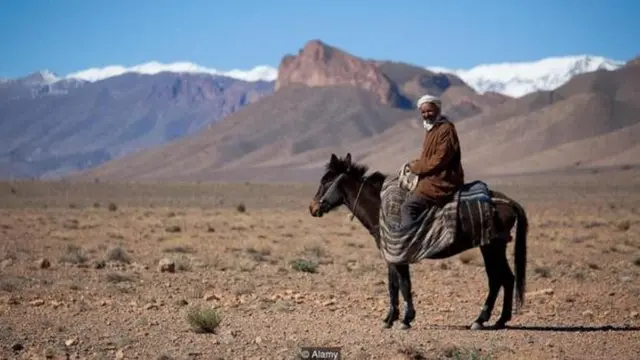सीटी की भाषा