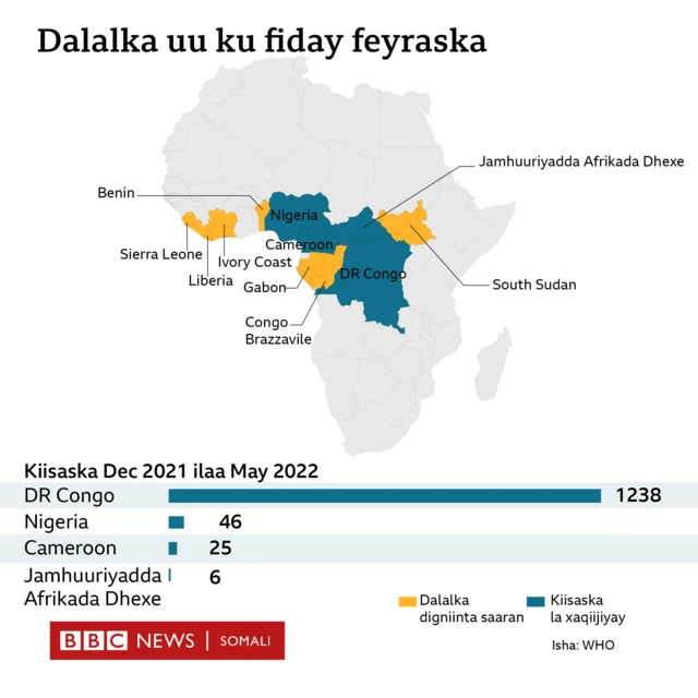 Xanuunka furuqa daanyeerka