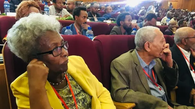 ገለ ተሳተፍቲ እቲ ዘተ