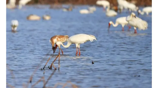 鄱阳湖
