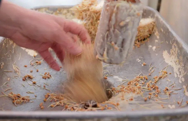 Блюдо сумолок