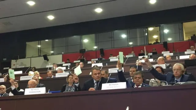 "Російські представники на чолі з екс-ведучим Петром Толстим незадоволені результатами розгляду резолюції щодо України"