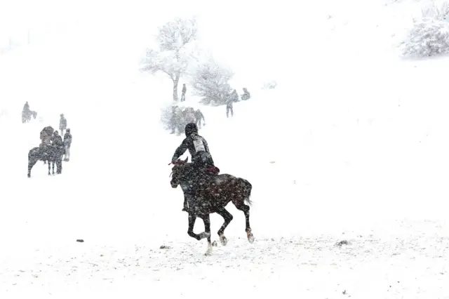 Козлодрание