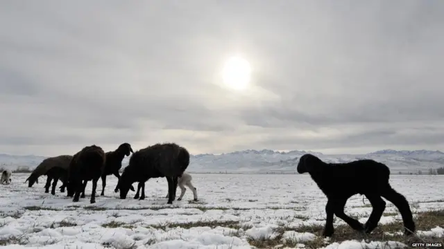 ਕਿਰਿਗਿਸਤਾਨ