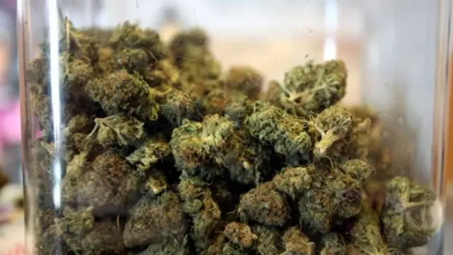 2500 ஆண்டுகளுக்கு முன்னரே கஞ்சா பயன்பாடு - ஆய்வில் கண்டுபிடிப்பு