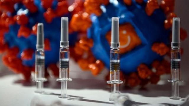 图为在中国国际服务贸易交易会上展示的北京科兴中维生物技术公司Sinovac的“克尔来福”灭活疫苗。