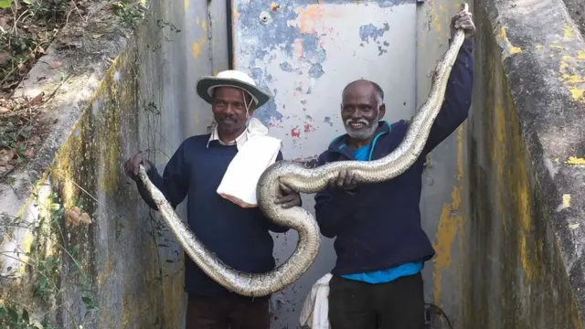 Masi Sadaiyan y Vadivel Gopal