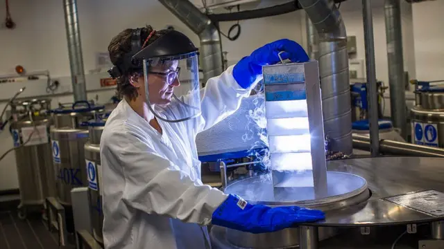 முதல் முறையாக பரிசோதனை மையத்தில் மனித கரு முட்டையை உருவாக்கி விஞ்ஞானிகள் சாதனை