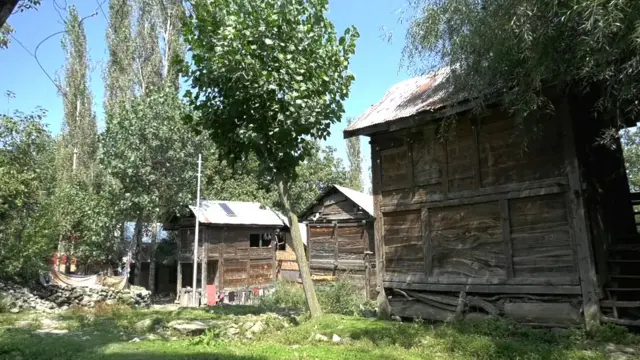 قالین، کشمیر