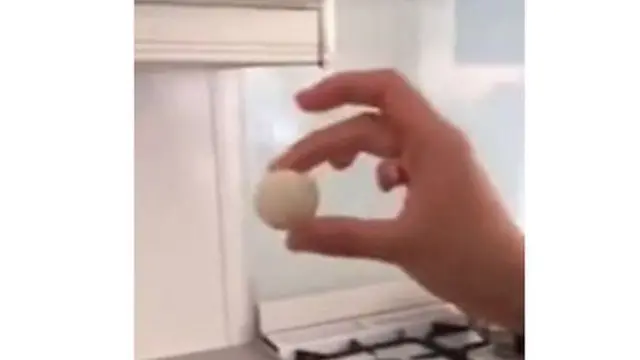 Plastic rice