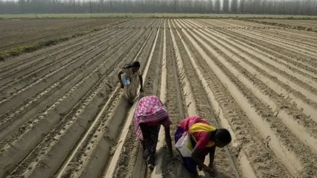 વિજય રૂપાણી