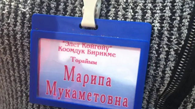 Бул бейжикти тагынган келин өзүн журналист деп атап, билип-билбей эле бей өкмөт уюмдарды тилдеп жатты