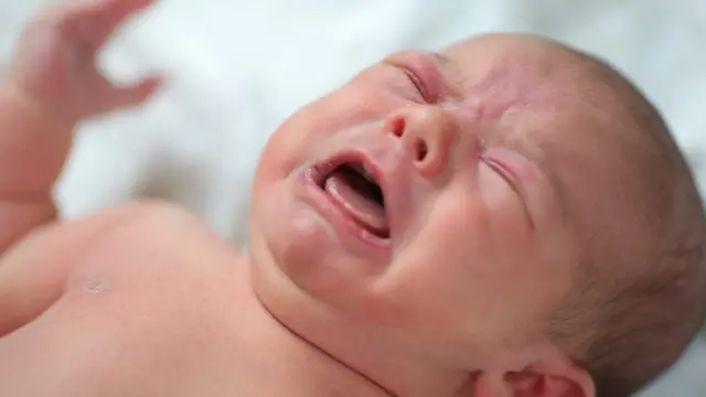 Daa'ima reefu dhalatte