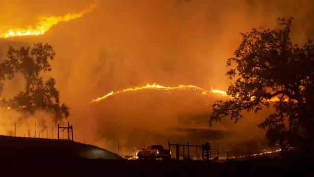 Лісові пожежі