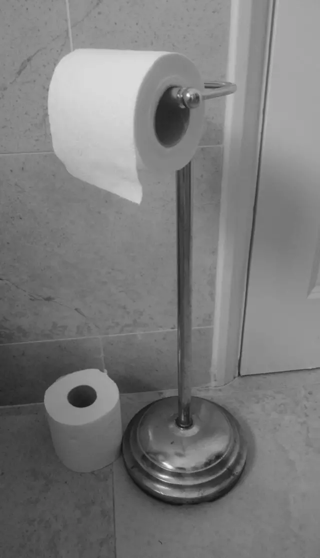 Un rollo de papel higiénico.