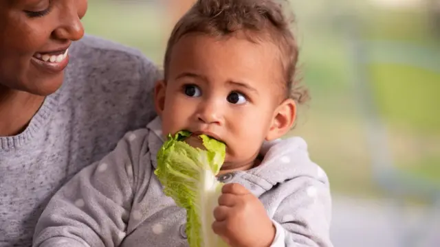 Bebê no colo da mãe comendo uma folhasportingbet como apostaralface