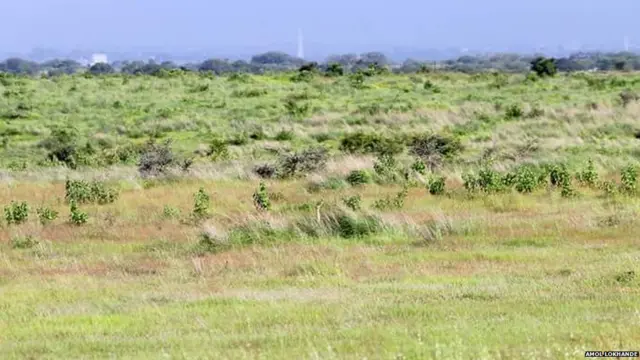 माळढोक वन्यजीव अभयारण्य