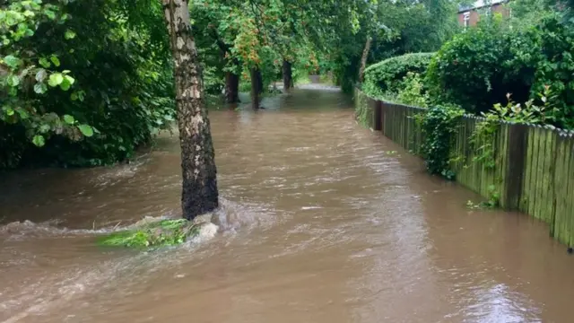 Пойнтон, Чешир