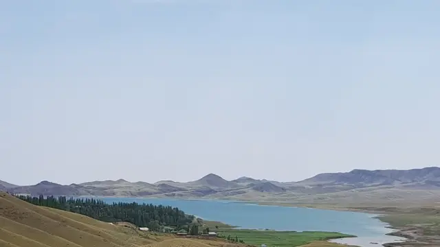 Мүше оның тесіктерін жыртып жатыр