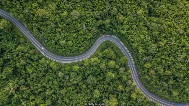 ብማእከል ጫካ ዝሓልፍ ጽርጊያ