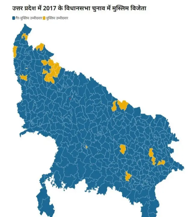 2017 के मुस्लिम उम्मीदवार विजेता