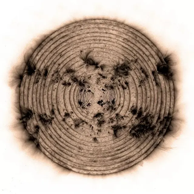 டிஜிட்டல் இன்னோவேஷன் பிரிவில் அன்னி மவுண்டர் பரிசு வென்ற புகைப்படம்