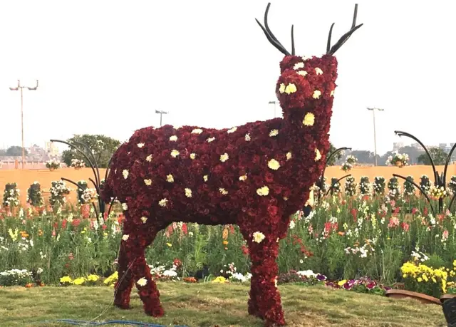 ફ્લાવર શો.