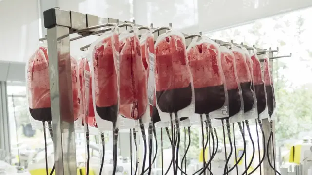 Запасы донорской крови в Центре переливания крови в Мадриде