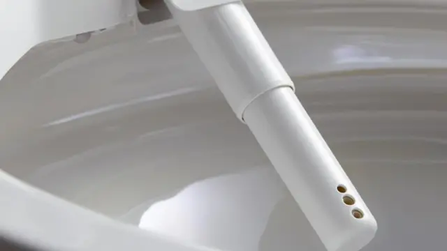 "Varita" en el inodoro de Toto