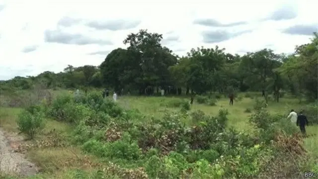 Dajin Falgore, inda masu satar shanu ke addabar makiyaya