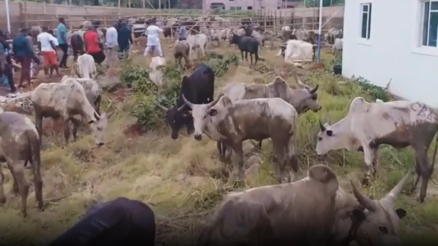 screen grab of video