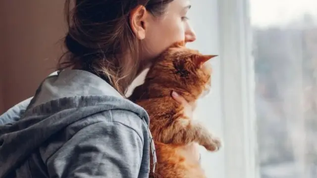 ओसीडी मंत्रचळः तुम्ही सतत हात धुता का? एखाद्या गोष्टीमुळे त्रास होईल अशी भीती वाटते का?