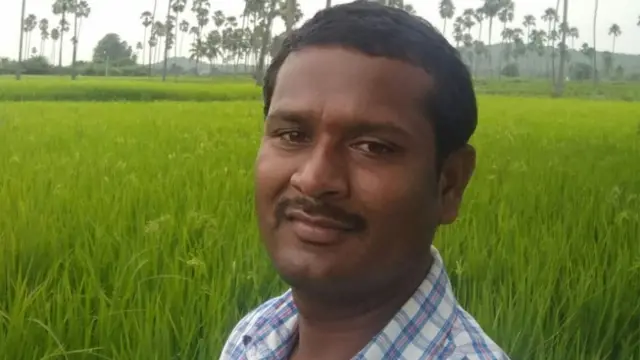 వరి చేను గట్టుపై నిలబడి ఉన్న వ్యక్తి